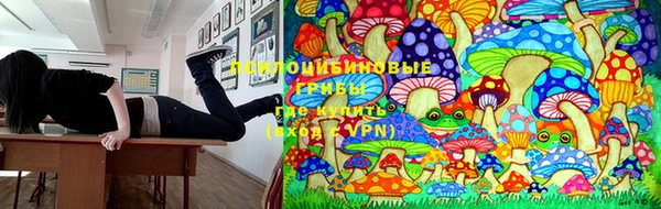 кокаин премиум Заводоуковск