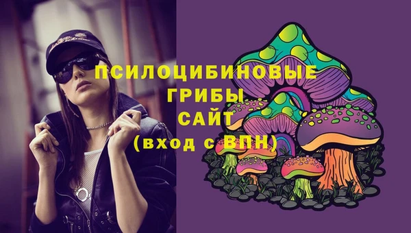 кокаин премиум Заводоуковск