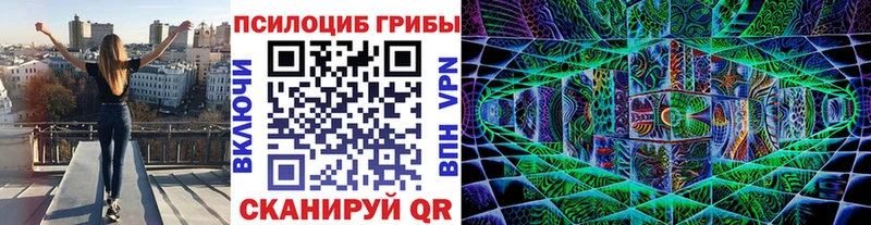 Галлюциногенные грибы Psilocybine cubensis  закладки  Сольцы 