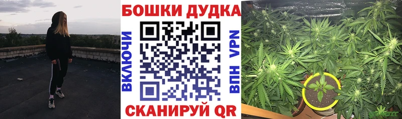купить  цена  площадка формула  Марихуана Bruce Banner  Сольцы 